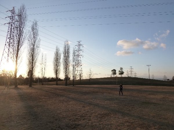 c0113733_23233.jpg