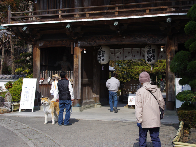 お遍路１日目　１番札所・霊山寺～２番札所極楽寺_f0008935_23452577.jpg