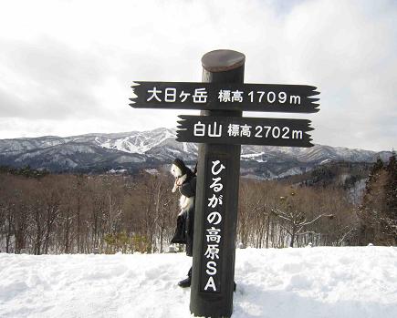 ちょっと面白画像_b0177436_1941923.jpg