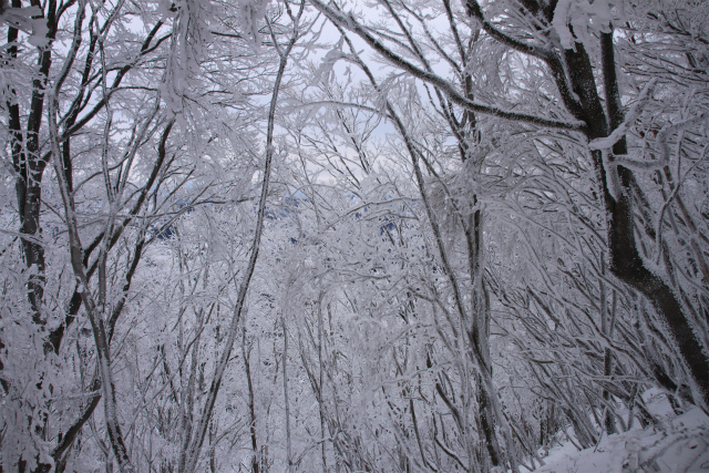 d0055236_22404657.jpg
