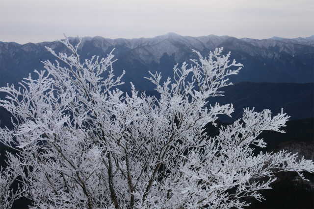 霧氷の三峰山　奈良県_d0055236_224450100.jpg