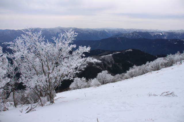 霧氷の三峰山　奈良県_d0055236_2384440.jpg