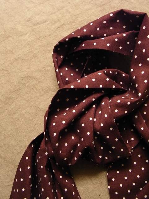 dot cravat_f0049745_15111333.jpg