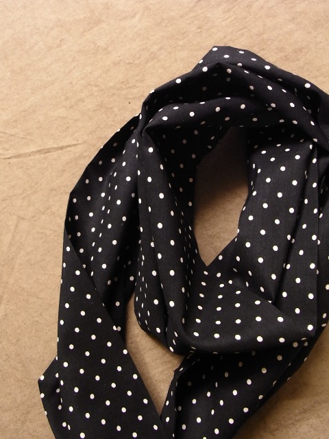 dot cravat_f0049745_1512235.jpg