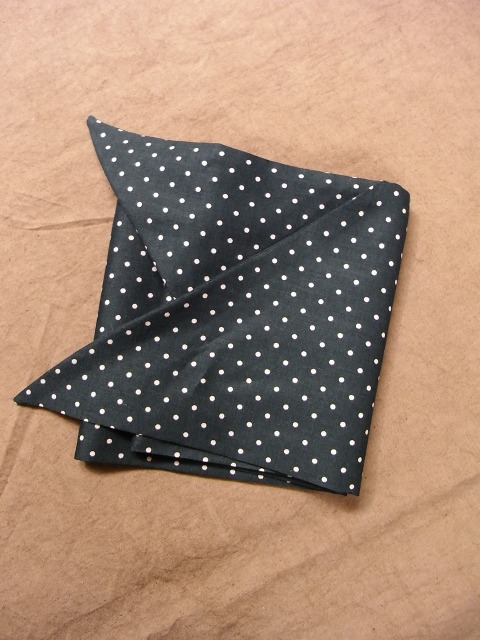dot cravat_f0049745_15125231.jpg