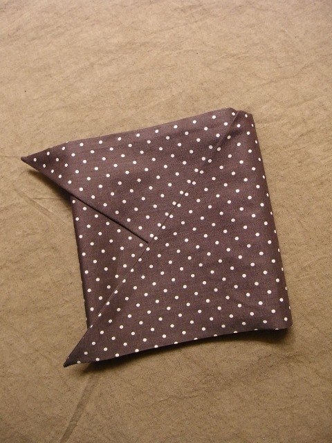 dot cravat_f0049745_15133310.jpg
