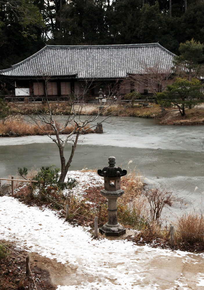 浄瑠璃寺　宝池（阿字池）　薄氷張る_c0108146_21253190.jpg