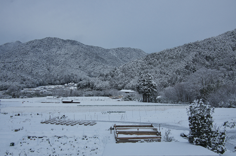 雪景色・再び大原へ_f0155048_23451579.jpg