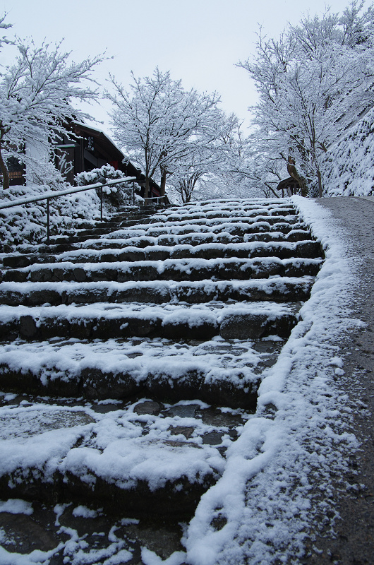 雪景色・再び大原へ_f0155048_23454030.jpg