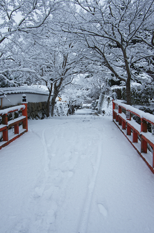 雪景色・再び大原へ_f0155048_23462182.jpg