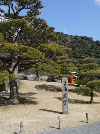 鹿児島ぶらり旅_a0148349_1257960.jpg