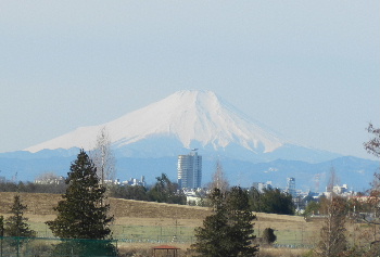 e0172950_16503552.jpg