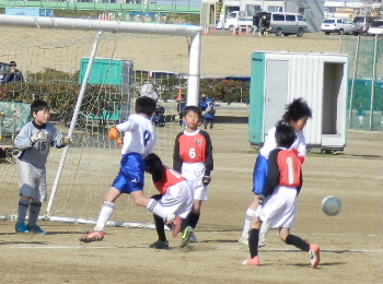 e0172950_1654231.jpg