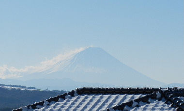 e0172950_7355671.jpg