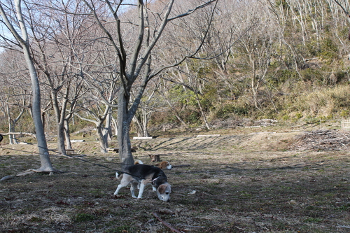 b0005652_17184731.jpg