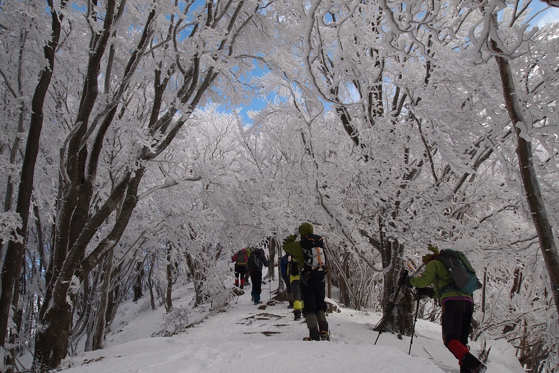 △　関西のマッターホルン・高見山　樹氷登山　△_a0111064_8183337.jpg