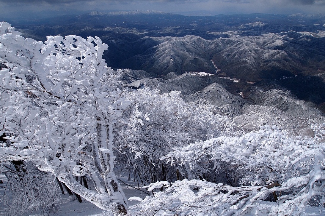 △　関西のマッターホルン・高見山　樹氷登山　△_a0111064_8201127.jpg