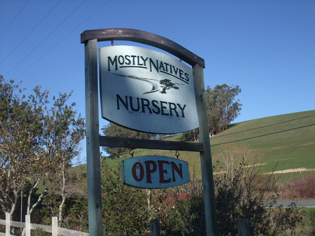 c0115366_222819.jpg
