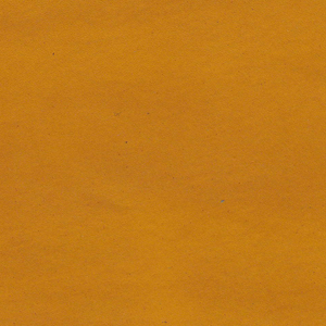 カラーバリエーション_a0145469_22144084.jpg
