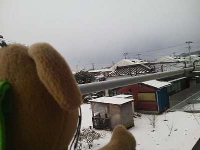 如月の雪見いぬ・2013_c0158573_835170.jpg