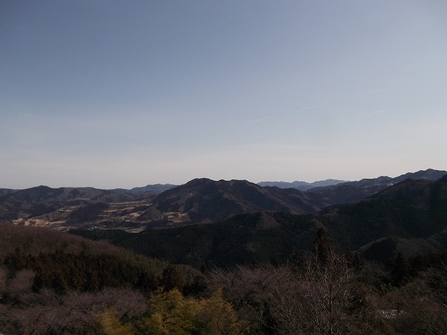 鬼石桜山・三波川上流_c0212083_2253486.jpg