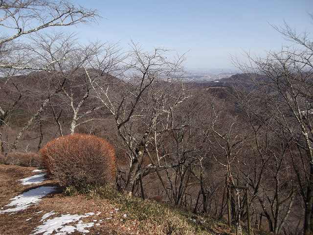 鬼石桜山・三波川上流_c0212083_2259890.jpg