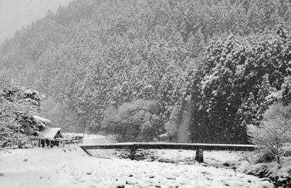 本来の山雪モード...町中では想像つきませんもんね〜..._b0194185_20383930.jpg