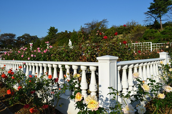 d0099791_1014560.jpg
