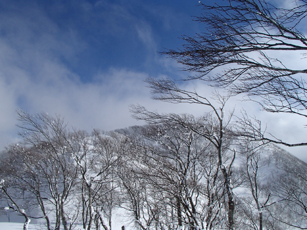 a0043193_20475359.jpg