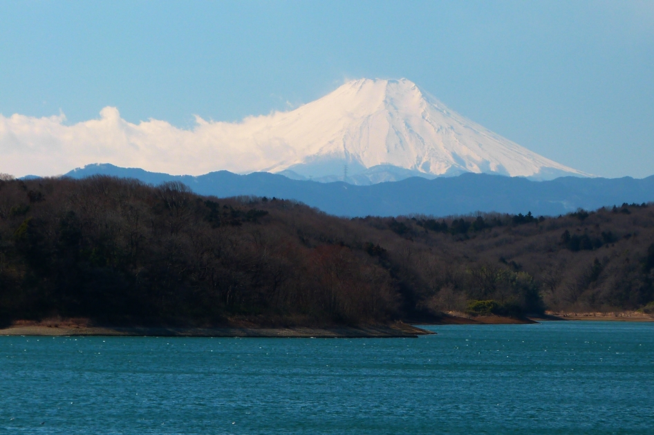 狭山湖からの富士山 花咲か父さん 洋らん栽培