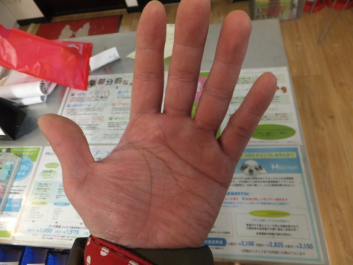 ゴハン 大好き!_c0226202_2243343.jpg