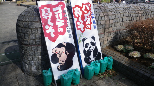 a0116205_2014277.jpg