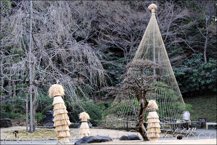 梅と太神楽　～　小石川後楽園_c0051107_11361962.jpg