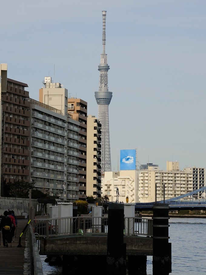 a0017909_034272.jpg