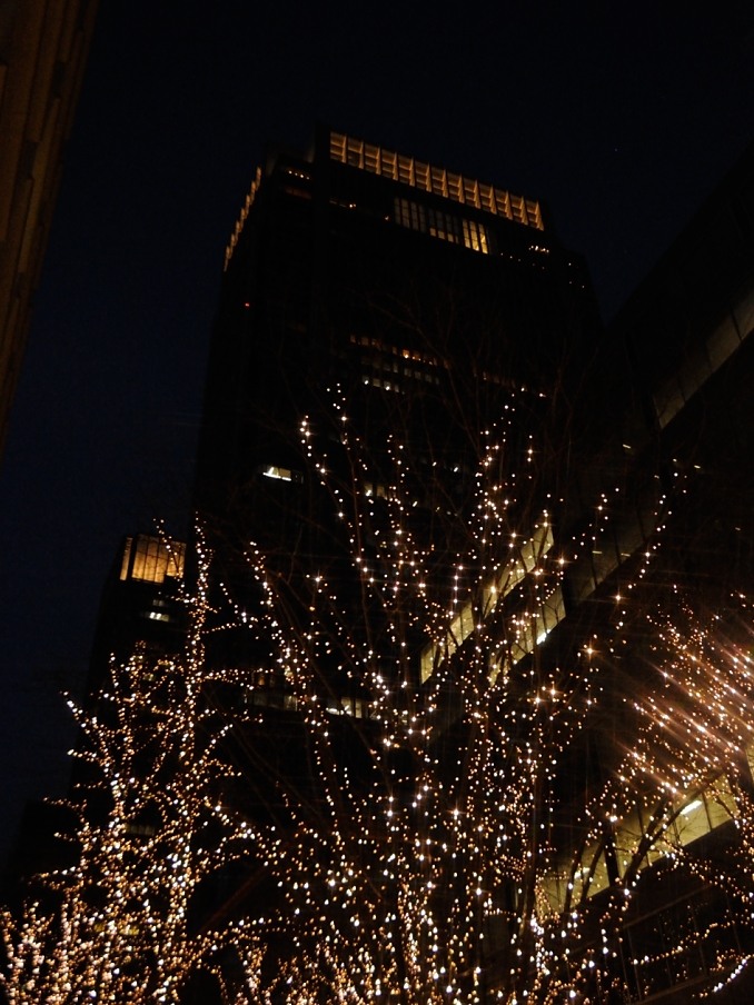 a0017909_0355754.jpg