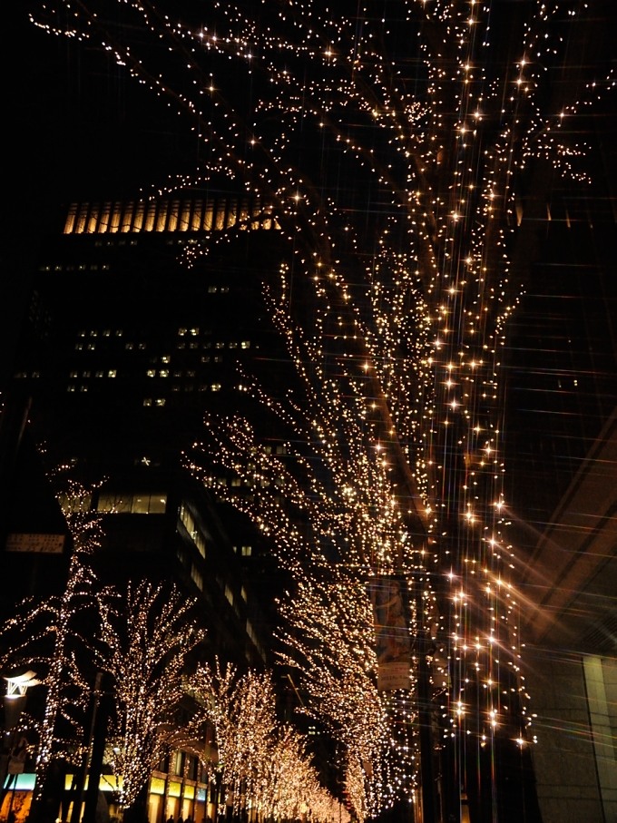 a0017909_036580.jpg