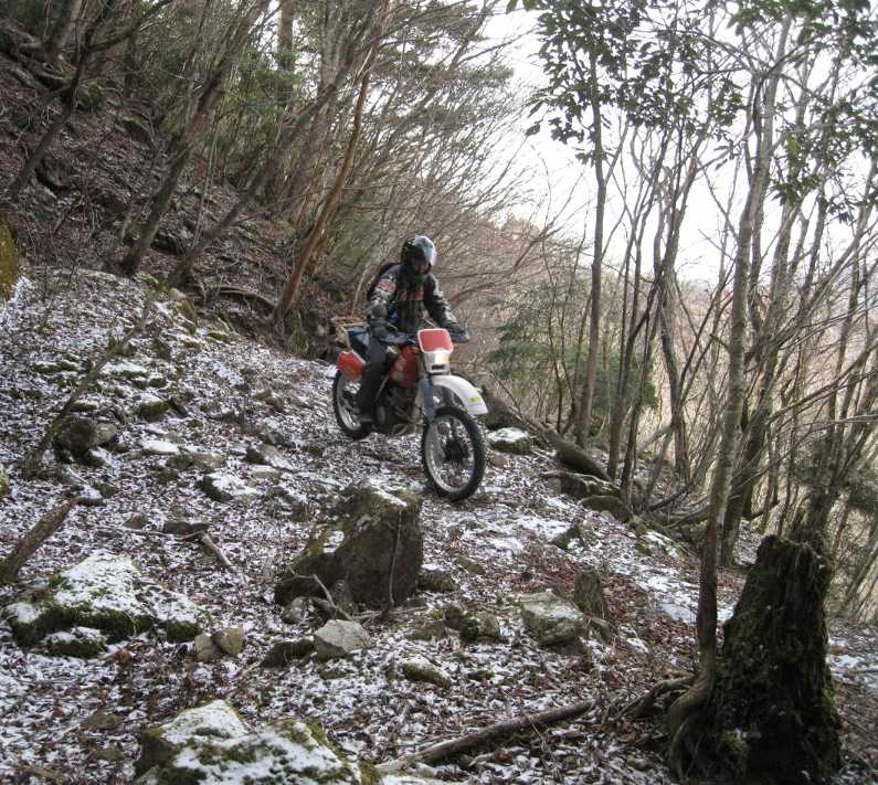 e0003910_12373399.jpg
