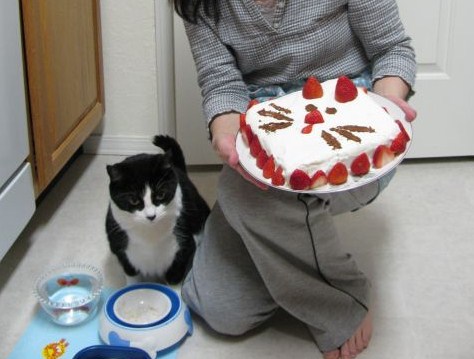 Chiko\'s 8th Birthday_e0101819_4373472.jpg
