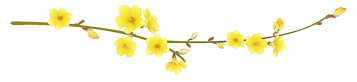 f0228619_859853.png