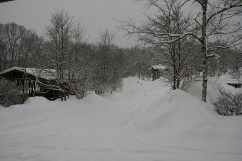 b0174425_13333861.jpg