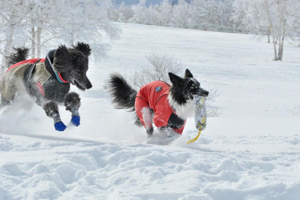 また雪遊び～_c0186528_13381595.jpg