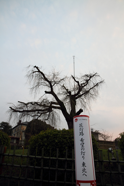 東山花灯路2012 －円山公園（前編）－_b0169330_23364967.jpg