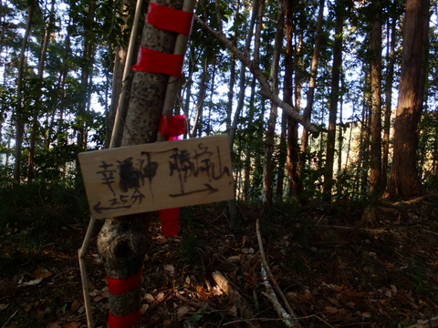 b0281732_19181262.jpg