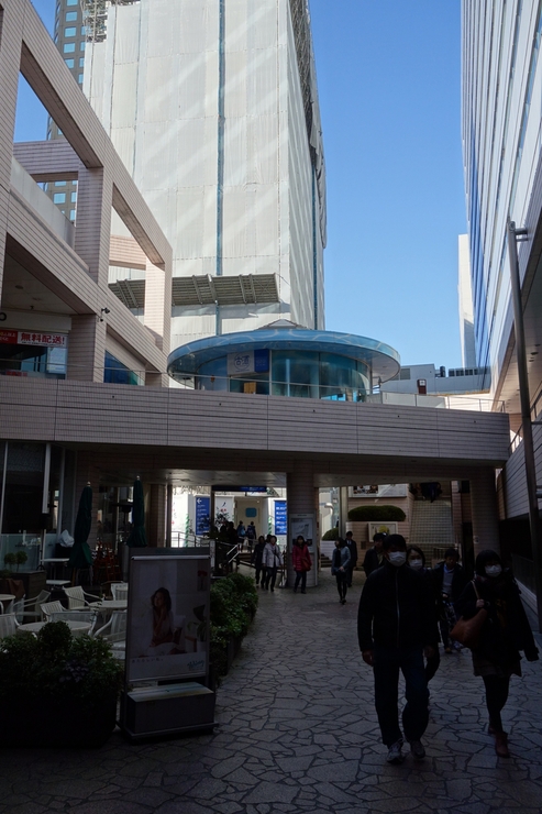 a0287336_3284778.jpg
