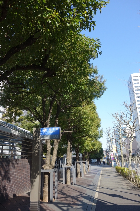 a0287336_344835.jpg