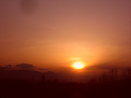 f0094843_20423251.jpg
