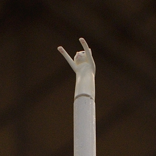 f0215145_01988.jpg