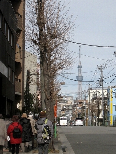 e0228147_1311035.jpg