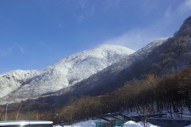 b0122448_20201011.jpg