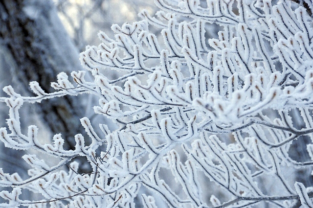 b0122448_20203328.jpg